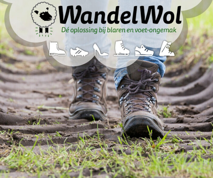 Wandelwol 40 gram